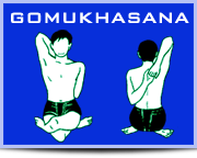 Cow Face posture / Yoga Lokam